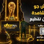 ما الفرق بين اشتراك سمارترز واشتراك هولك واشتراك فالكون؟ وأيهما الأفضل في 2026؟